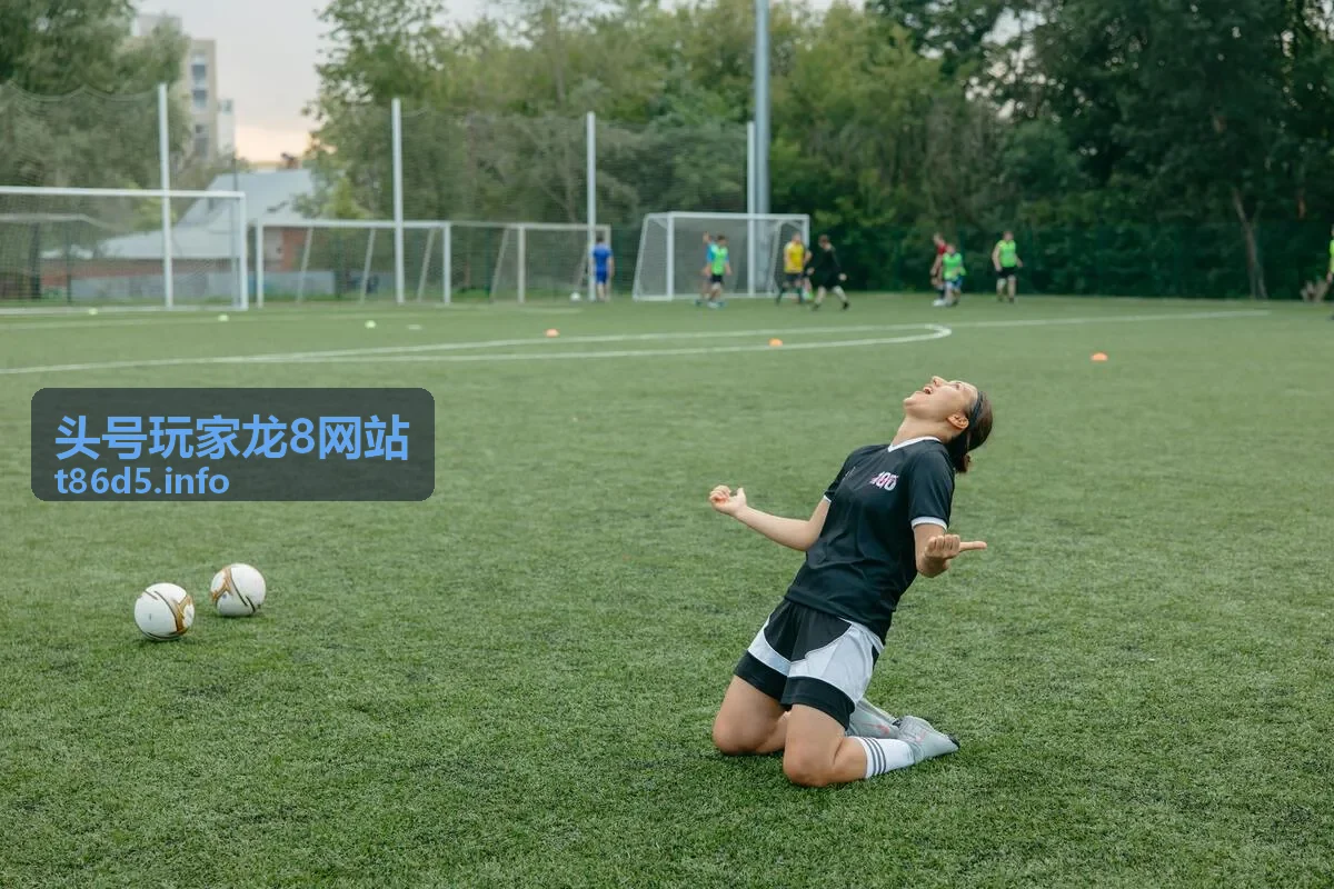 头号玩家龙8网站客户端视觉界面